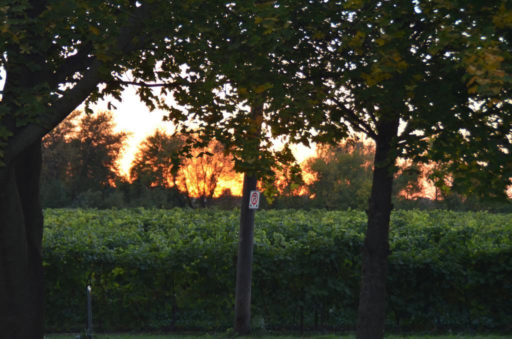 Old Town Country Landing Bed and Breakfast Niagara-on-the-Lake Eksteriør billede